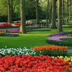 Keukenhof