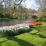 Keukenhof