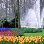 Keukenhof