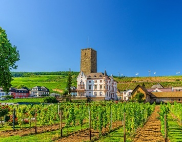Rudesheim og Rhindalen
