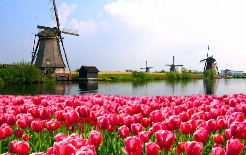 Blomstringstur til Holland