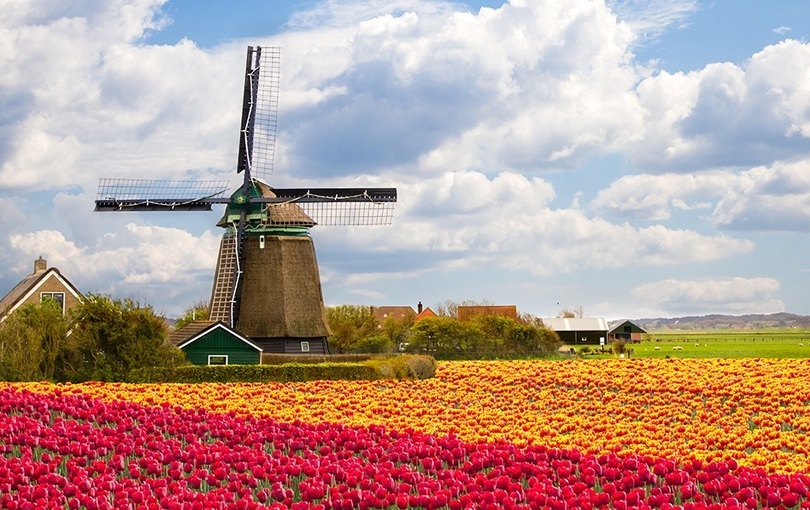 Blomstringstur til Holland